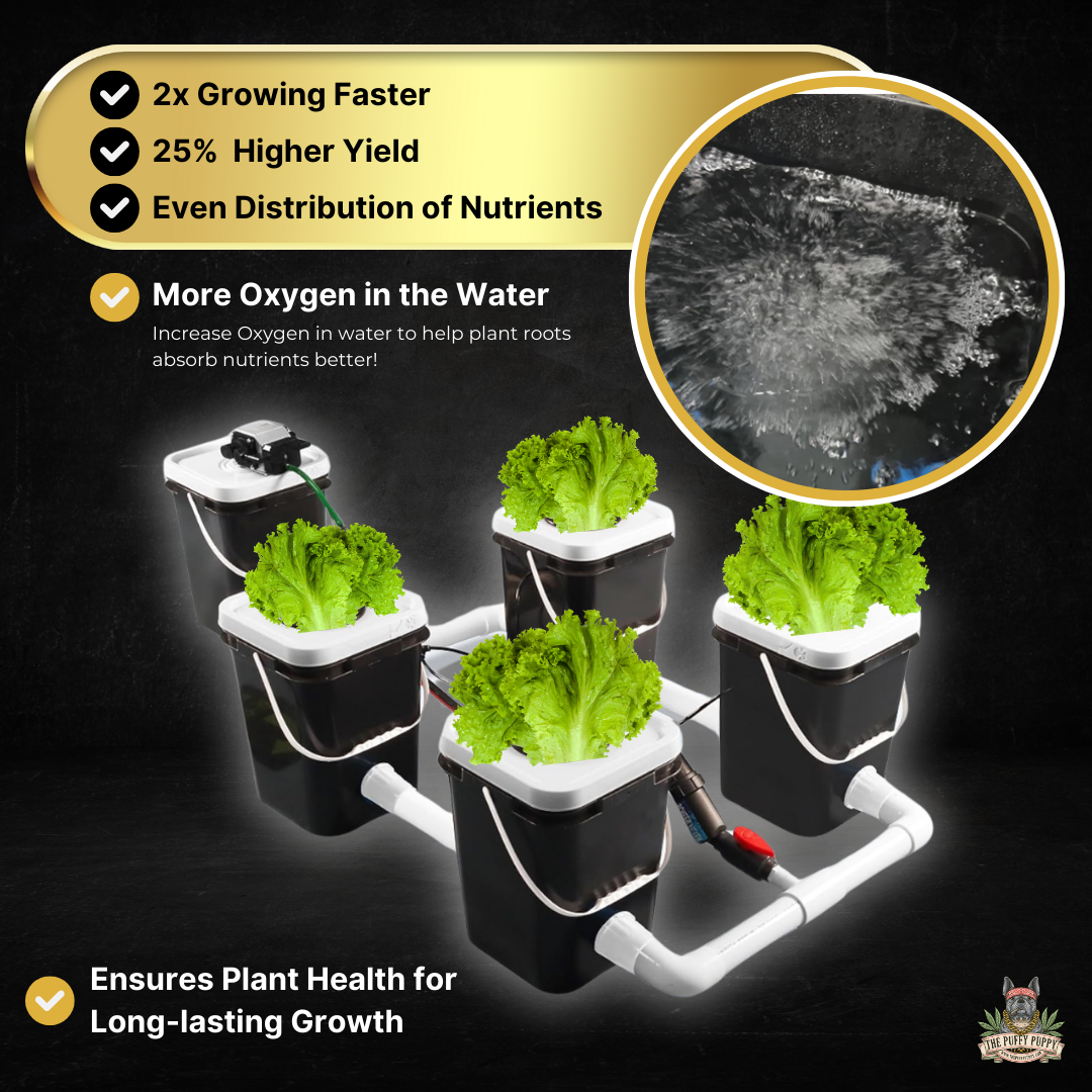 Deep water culture rDWC full 4 site hydroponic system benefits