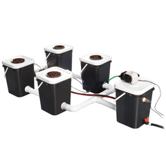 Deep water culture rdwc full 4 site hydroponic system bucket photo
